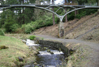 dead grass under bridge