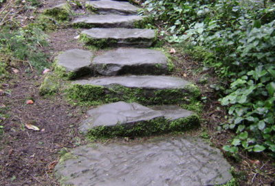 Mossy rock path