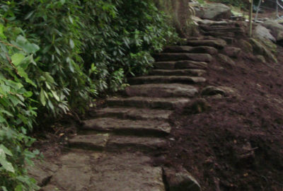Stone steps to bridge next to bushes