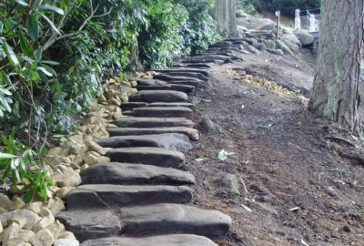 Stone steps up a hill next to bush
