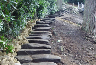 Stone steps up a hill next to bush
