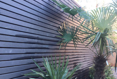 Fence with plants